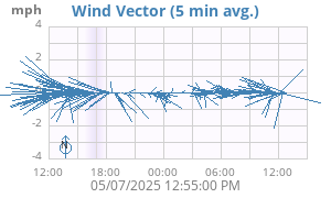 Wind Vector