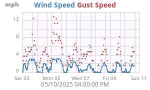 wind