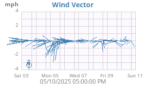 Wind Vector
